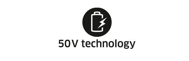 Logo 50V