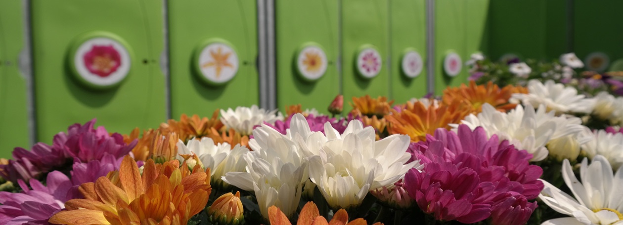 plantenbakken