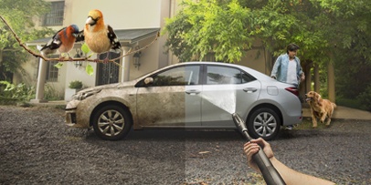 Pajaritos_auto