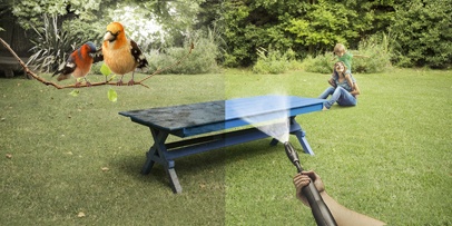 Pajaritos_mesa