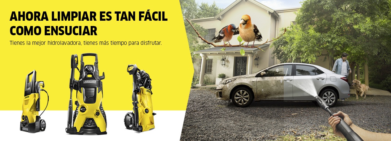 Header_Pajaritos2