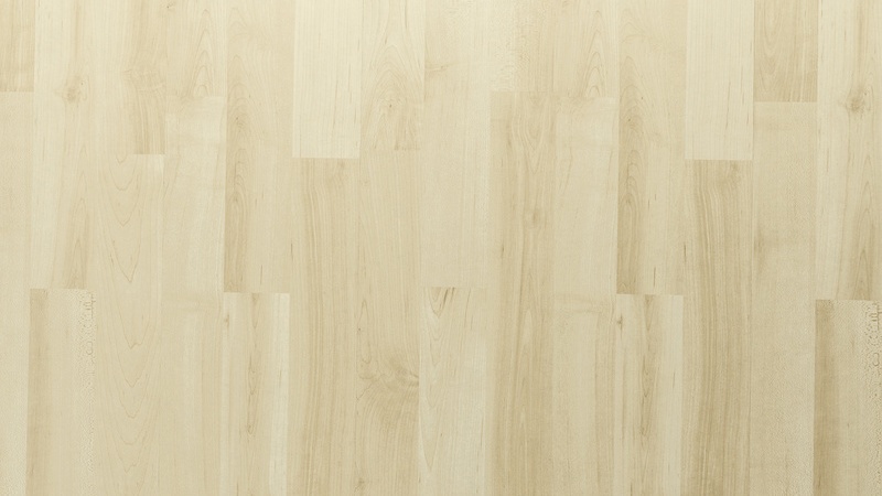 Parquet polisseuses Kärcher