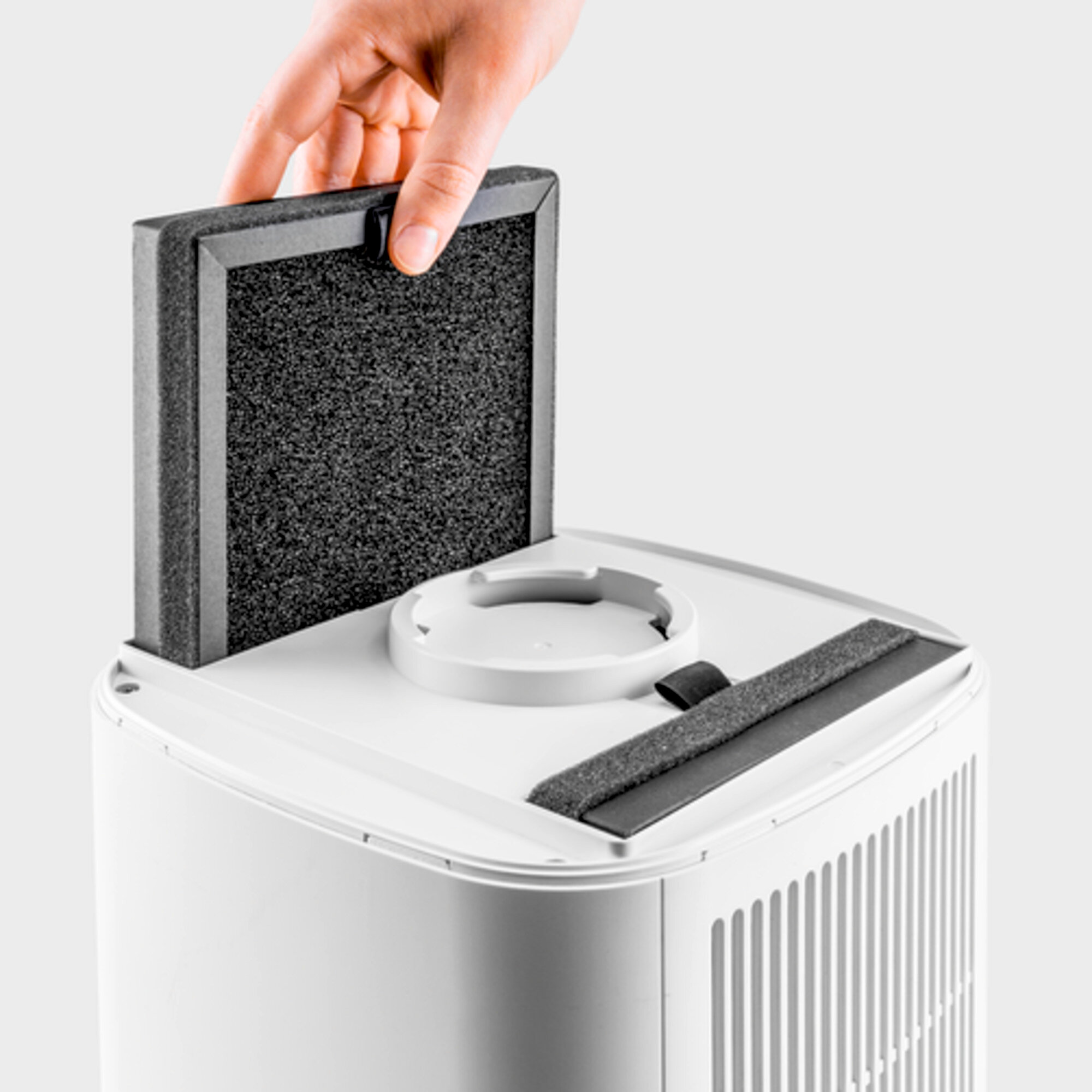 Air purifier AF 20: Dual air inlet system