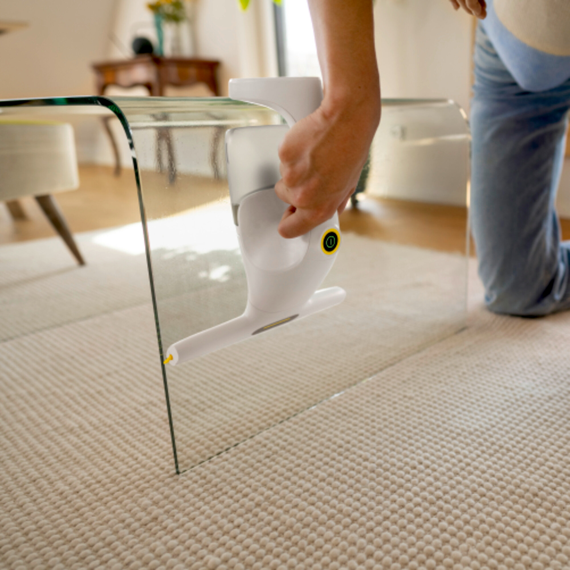 Ramenreiniger WV 1 Go Care: 360° Comfort!Clean