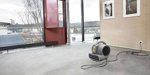 Kärcher Air Blower