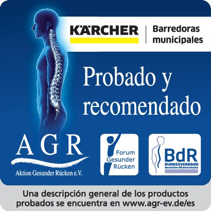 Barredora municipal MC 250 EURO 6