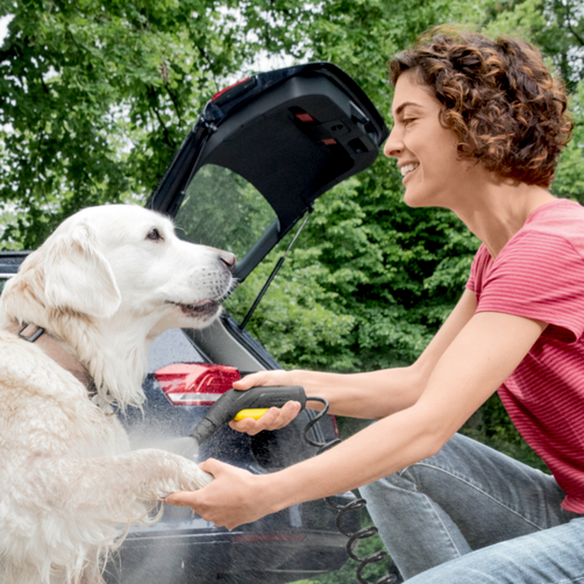 Mobile Outdoor Cleaner OC 3 Plus Multipurpose Box *AE: Efficient, but gentle low pressure