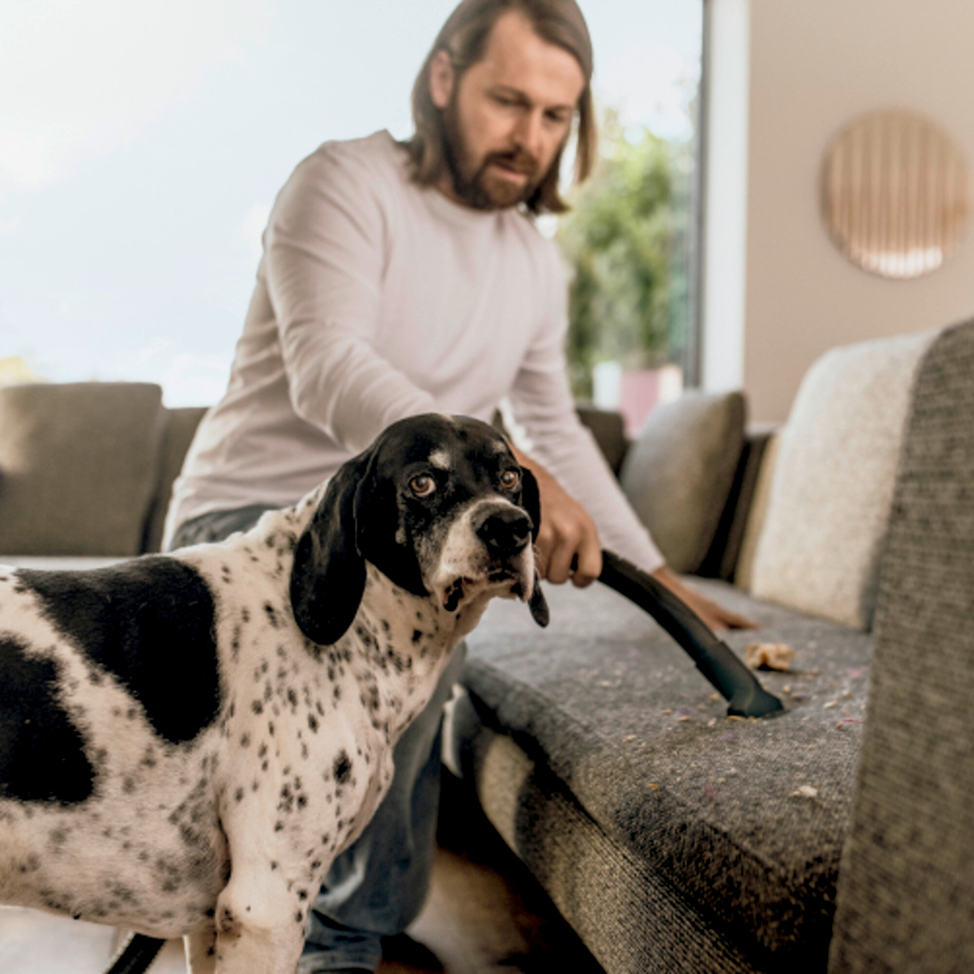 Bidone aspiratutto WD 2 Plus V-12/4/18 Pet: Per una rimozione accurata e affidabile dei peli di animali