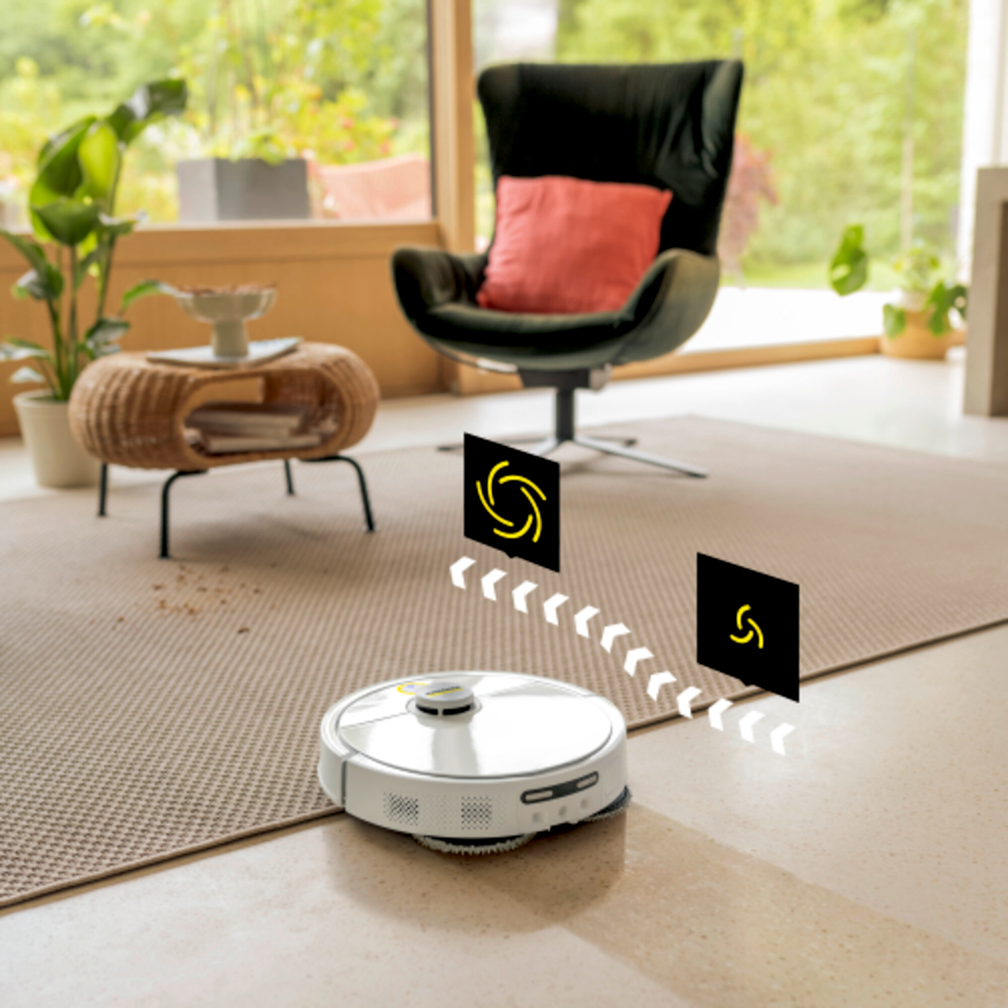  RVM 4 Комфорт: Распознавание ковров и повышение силы всасывания