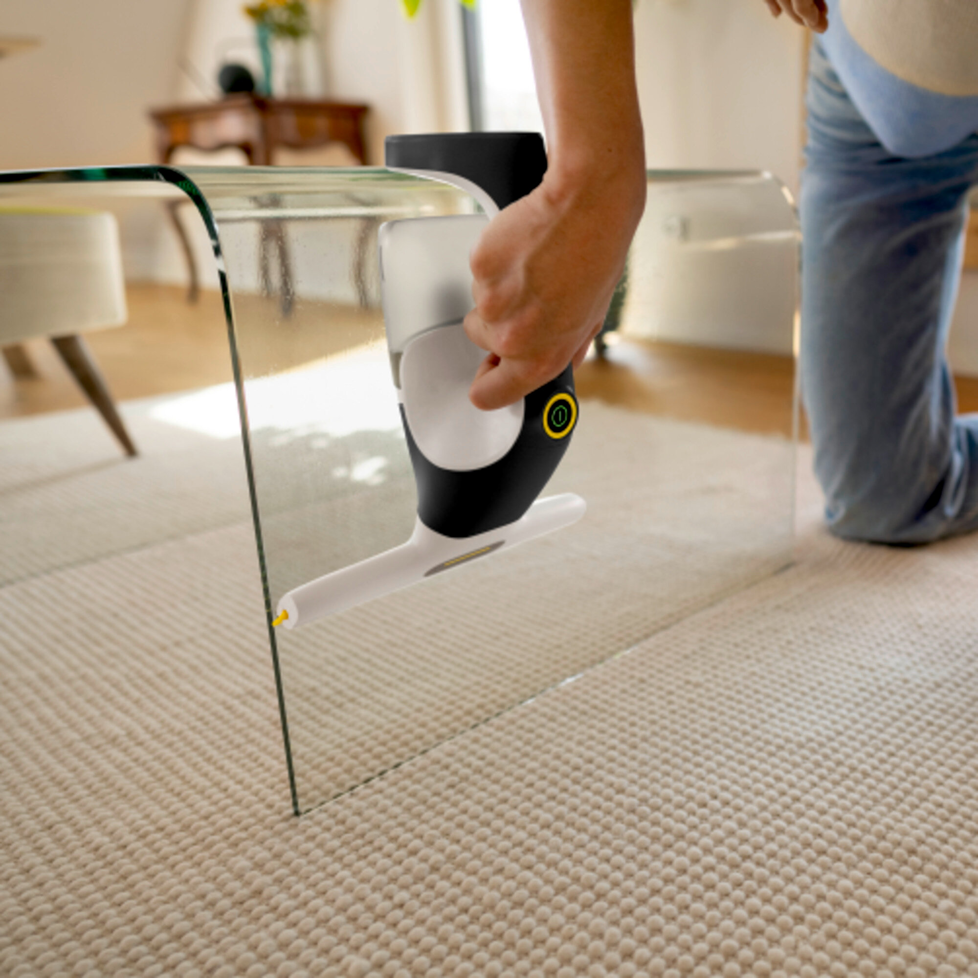 Ramenreiniger WV 1 Go Polish+: 360° Comfort!Clean