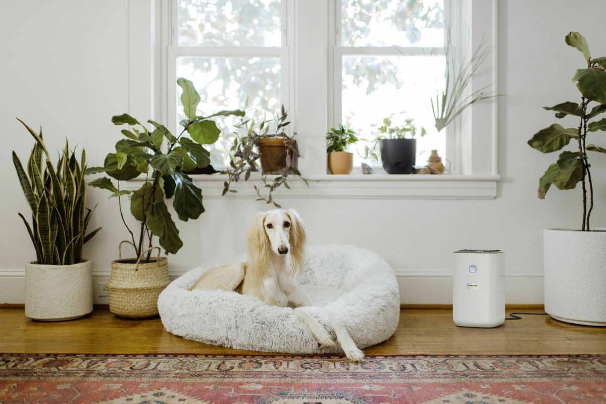 Kärcher Air purifier AF 20