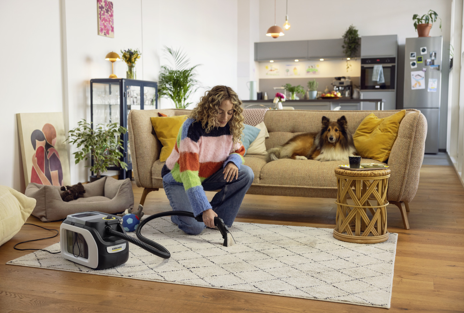 Karcher SE 3 Compact Spot Cleaner | Free Delivery + 1 Year Extra