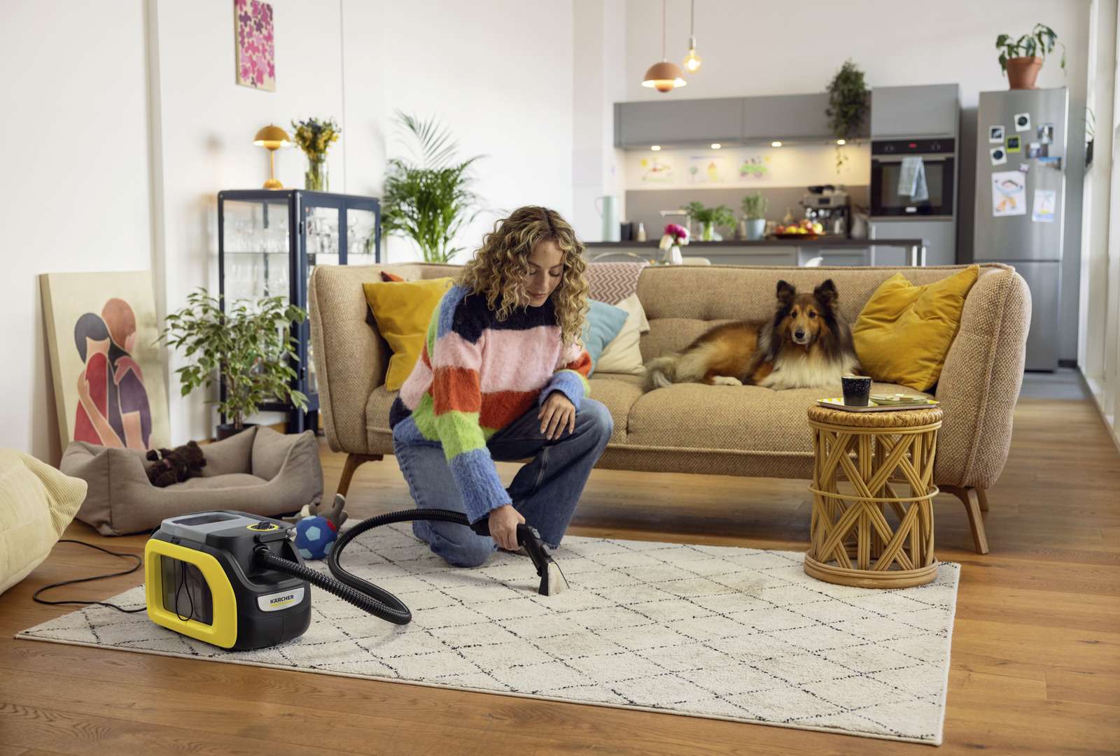 Kärcher Tepovač-extraktor SE 3 Compact yellow