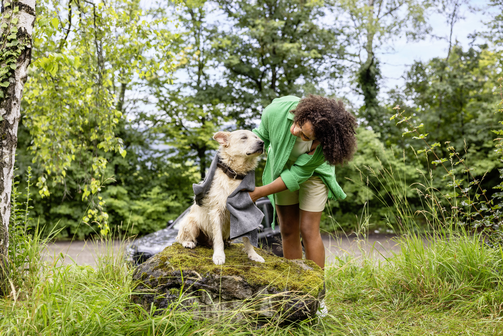 Kärcher Pet Kit