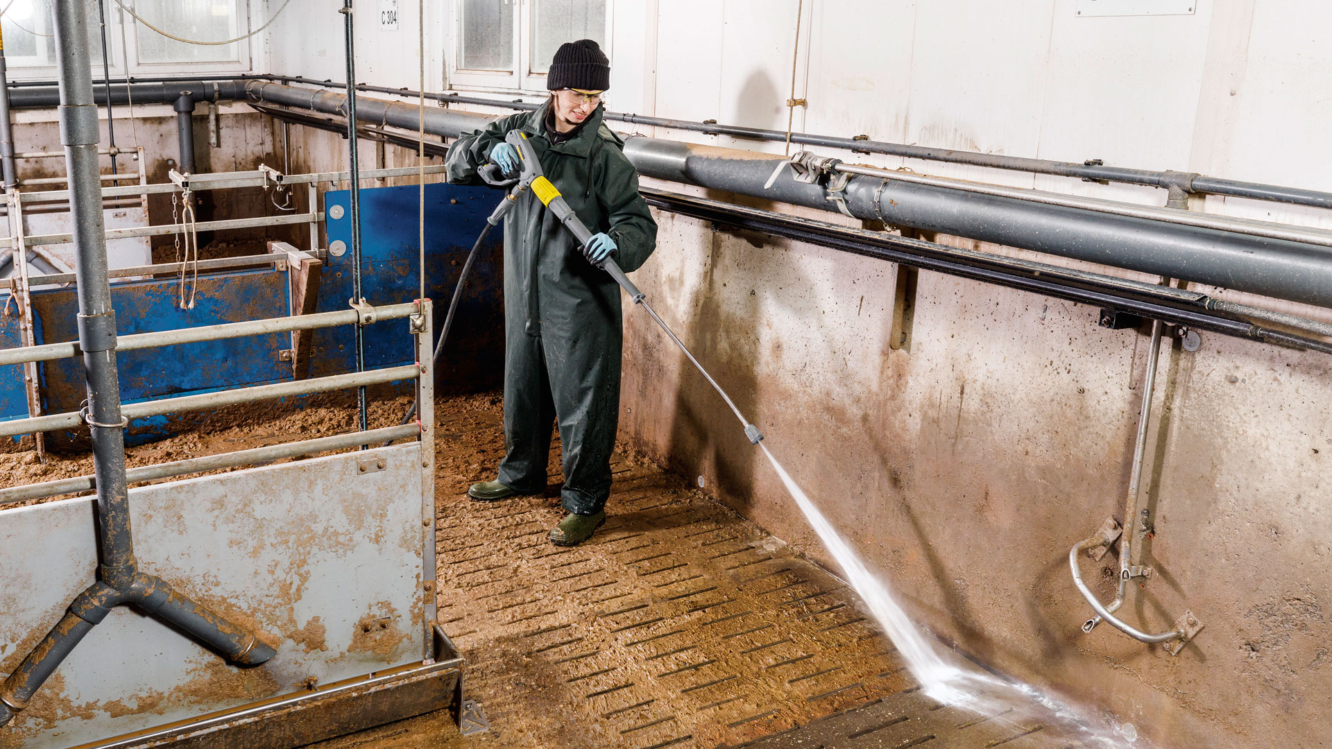 Nettoyer l'élevage de porcs – agriculture | Kärcher