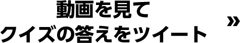動画を見てクイズの答えをツイート