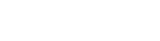 Sobre a limpadora a vapor profissional SG 4/4