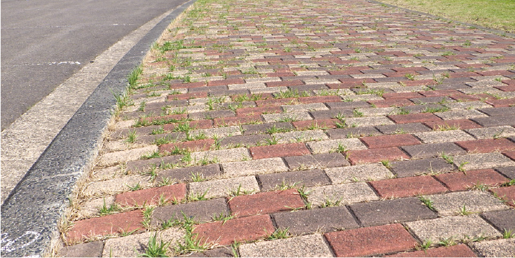 【定点記録1】2021年5月。温水除草導入前。雑草がブロックの目地から生い茂っている。