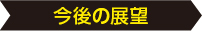 今後の展望