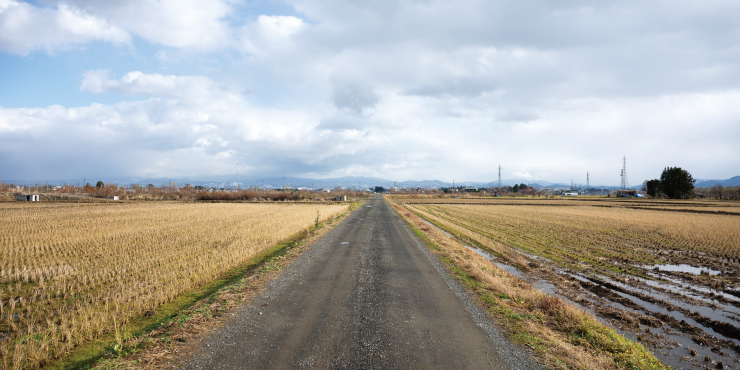 刈り取りが済んだ広い水田。新技術や機械を取り入れ、80haの広大な耕作地を管理している