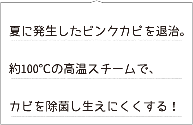 夏に発生したピンクカビを退治。約100℃の高温スチームで、カビを除菌し生えにくくする!