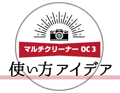 ケルヒャージャパン 家庭用マルチクリーナー OC 3