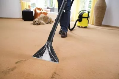 Best Vacuum Cleaner Buying Guide For Home Use K rcher