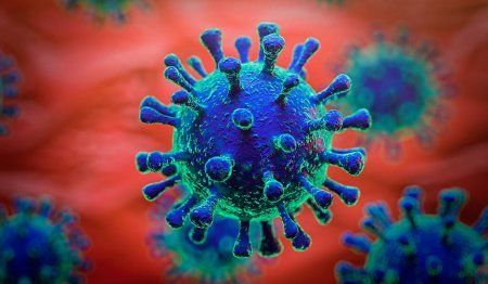 Дезинфекция паром