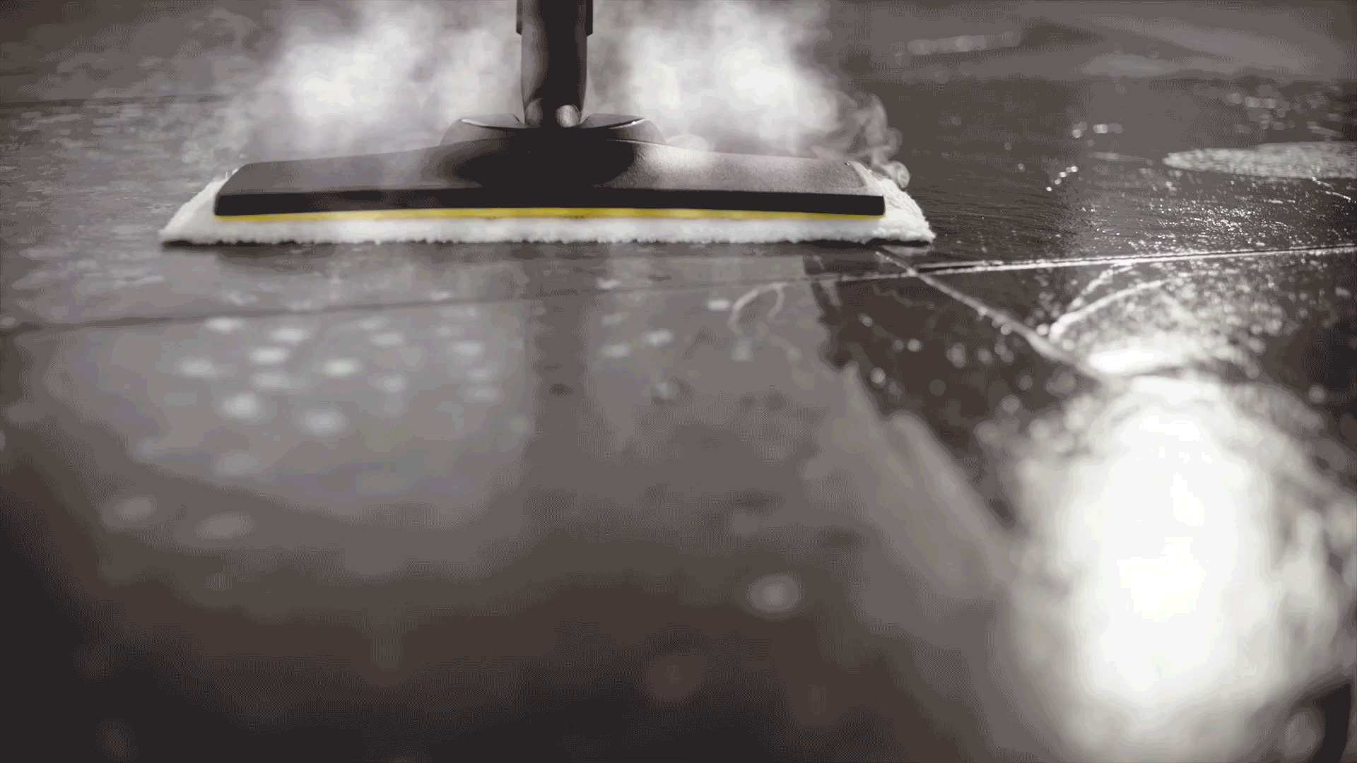 GIF esp SC GIF esp SC