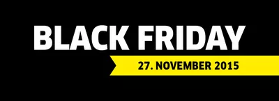 Black Friday Deals: Elektrischer Kärcher-Eiskratzer im -Angebot