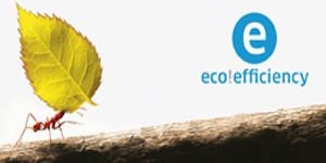 eco efficiency eco efficiency