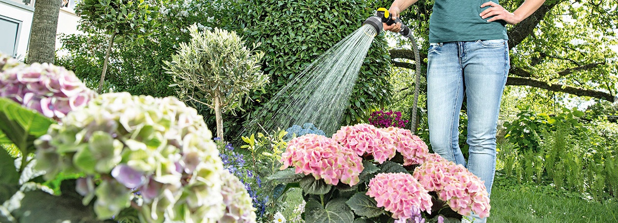 Garden Watering Garden Watering