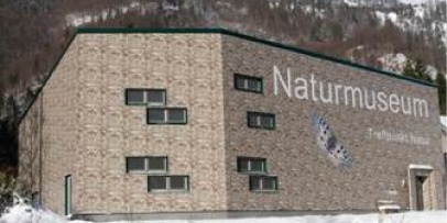 Naturmuseum Naturmuseum