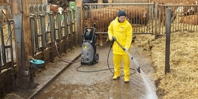 Cattle Farming Cattle Farming