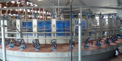 Dairy Farming Dairy Farming