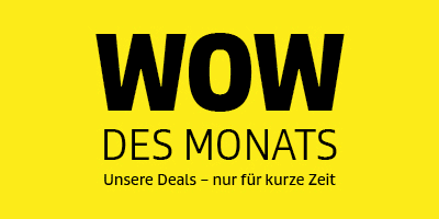  Dieses Bild ist ein Werbebanner für die Monatsaktion WOW des Monats im Kärcher Onlineshop. 