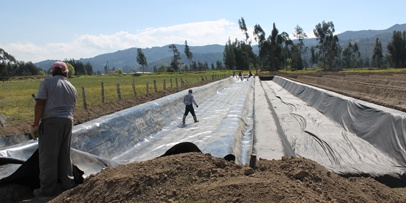 Preparing the plant filters