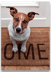 Katalog End User 2017 180x252