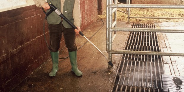 Animal Pen Cleaning