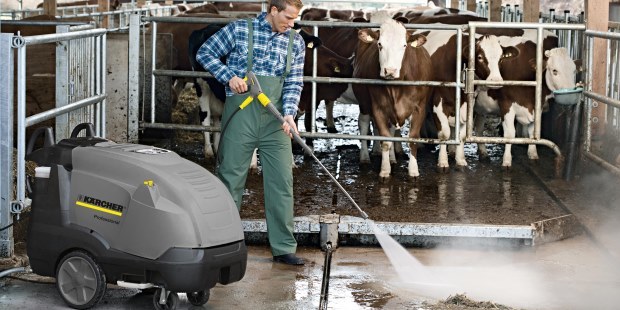 Animal Pen Cleaning PW