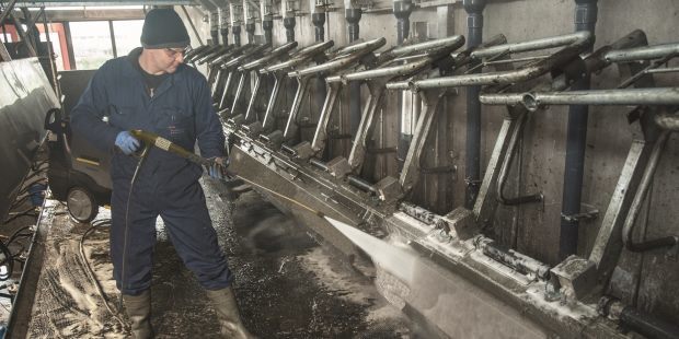 Cleaning the milking parlor with a Karcher pressure washer