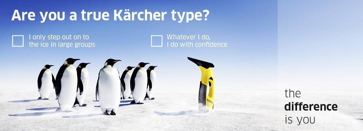 Penguins vacancies Penguins vacancies