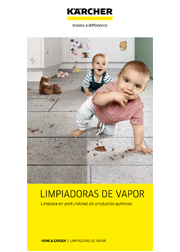 Limpiadoras de Vapor img