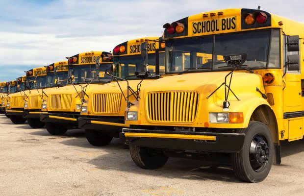 School buses lined up