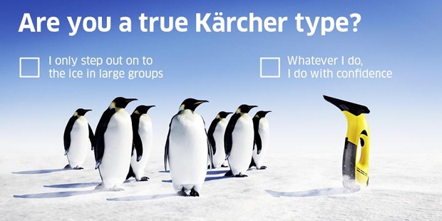 True Kaercher type True Kaercher type