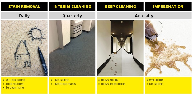 CarpetPro overview CarpetPro overview