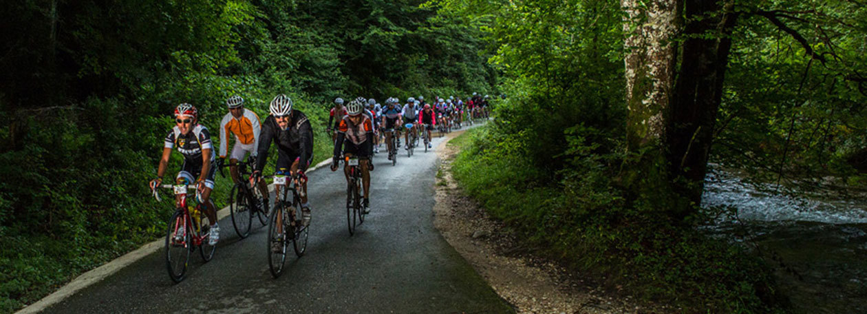 Transpyr Road 2015