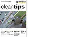 クリーンチップス Vol.13