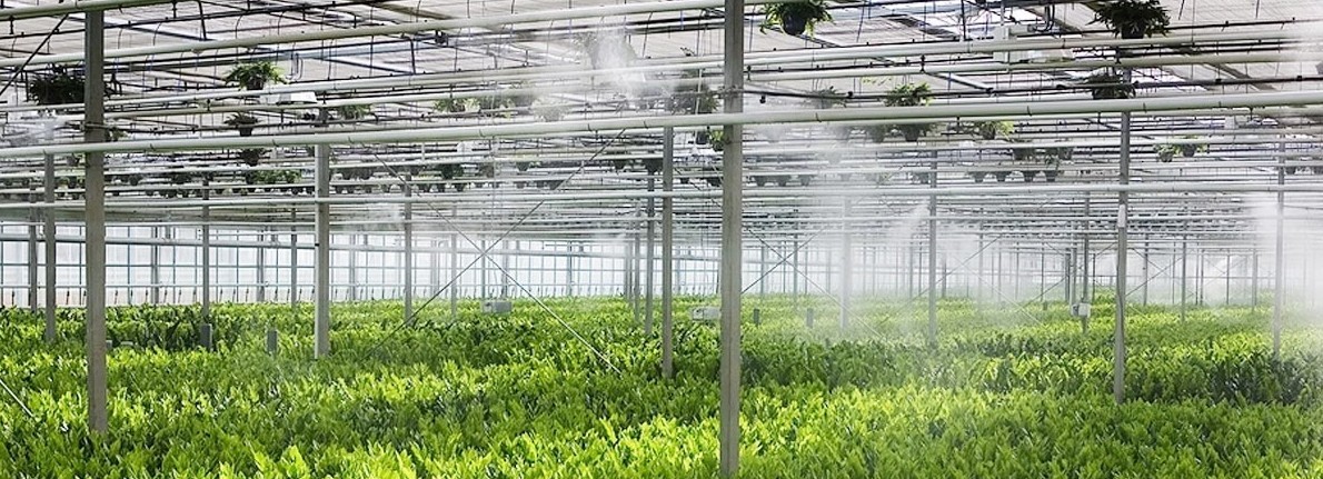 Hệ thống tưới phun sương Hệ thống tưới phun sương