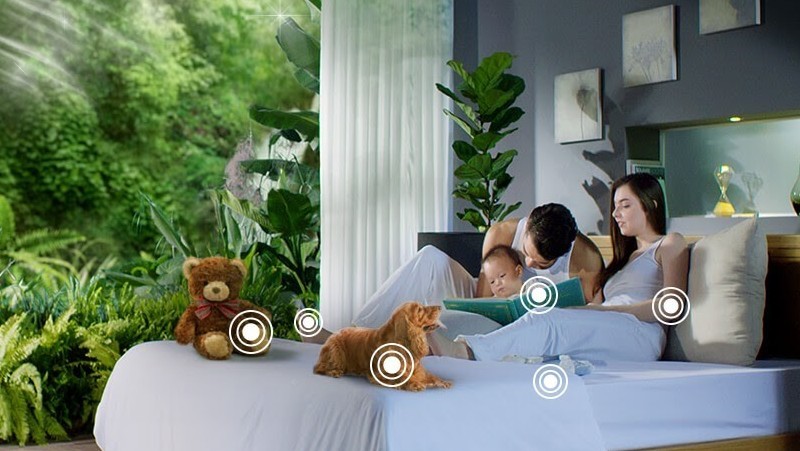 Vi khuẩn có ở khắp mọi nơi, gây hại cho sức khỏe Vi khuẩn có ở khắp mọi nơi, gây hại cho sức khỏe